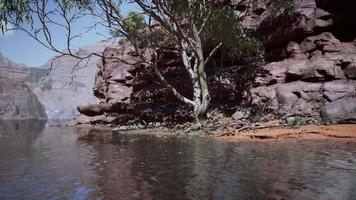 Reflection of Grand Canyon in Colorado River video