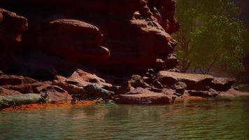 rivière de montagne et montagnes colorées du colorado video