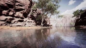 Colorado River flows through the Grand Canyon video