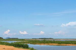 View the vast swamp and the dry mound. photo