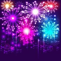 Firework Show at the Night Sky vector