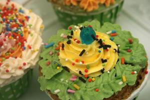 Closeup of assorted flavors of decorated cupcakes sitting on photo