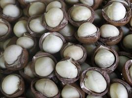 macadamia nuts for background photo