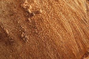 Close up view on different wood surfaces of planks logs and wooden walls in high resolution photo