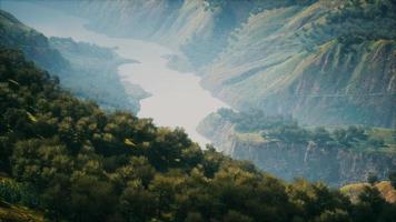 shot van een kreek in het midden van groene bossen, omringd door heuvels video