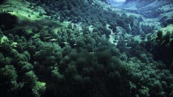 Aufnahme eines Baches inmitten grüner Wälder, umgeben von Hügeln