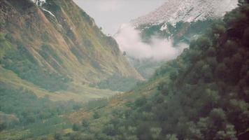 paysage forestier aérien fores européennes video