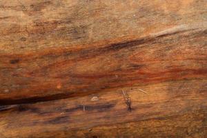 vista de cerca en diferentes superficies de madera de troncos de tablones y paredes de madera en alta resolución foto