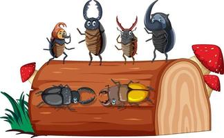 Beetle friends in white background vector