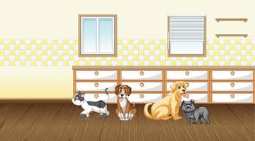 Set of different domestic animals in kitchen