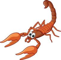 A scorpion animal cartoon character vector