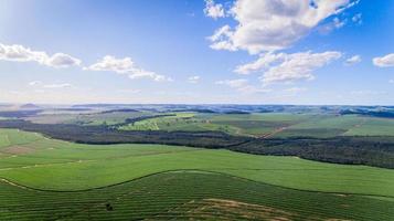 Sugarcane plantation field aerial view with sun light. Agricultural industrial. photo