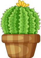 Cactus in a pot isolated vector