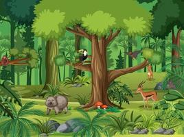 Forest scene with various wild animals vector