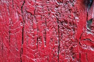 Close up view on different wood surfaces of planks logs and wooden walls in high resolution photo