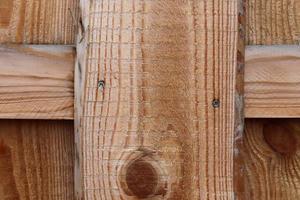 Close up view on different wood surfaces of planks logs and wooden walls in high resolution photo