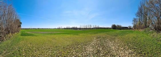 Panorama of a northern european country landscape with fields and green grass. photo