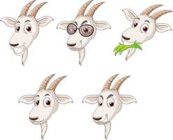 Set of different white goat heads vector