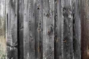 Close up view on different wood surfaces of planks logs and wooden walls in high resolution photo