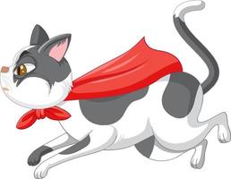 A hero cat on white background vector