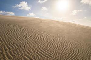 arenas hirvientes. concepto de calentamiento global. dunas de arena solitarias. arena volando en el viento. foto