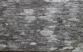 Close up view on different wood surfaces of planks logs and wooden walls in high resolution photo