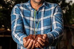 Young farmer man hands holding a green young plant. Symbol of spring and ecology concept photo