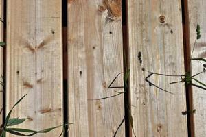 Close up view on different wood surfaces of planks logs and wooden walls in high resolution photo