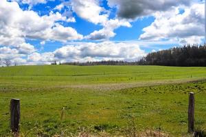 Panorama of a northern european country landscape with fields and green grass. photo