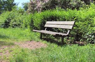 A public empty bench found in northern Europe photo