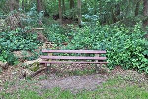 A public empty bench found in northern Europe photo