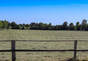 Beautiful wooden horse fence at an agricultural field photo