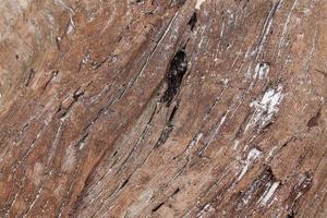 Close up view on different wood surfaces of planks logs and wooden walls in high resolution photo