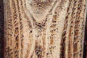 Close up view on different wood surfaces of planks logs and wooden walls in high resolution photo