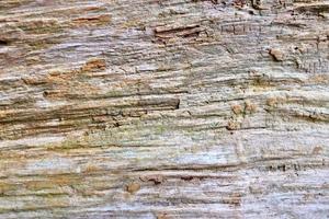 Close up view on different wood surfaces of planks logs and wooden walls in high resolution photo