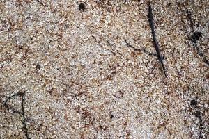 Close up view on different wood surfaces of planks logs and wooden walls in high resolution photo