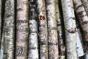 Close up view on different wood surfaces of planks logs and wooden walls in high resolution photo