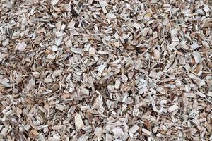 Close up view on different wood surfaces of planks logs and wooden walls in high resolution photo