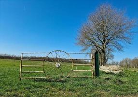 Panorama of a northern european country landscape with fields and green grass. photo