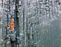 Close up view on different wood surfaces of planks logs and wooden walls in high resolution photo