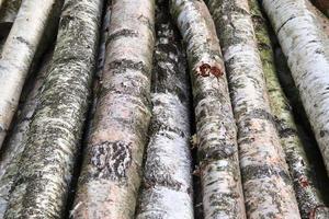 vista de cerca en diferentes superficies de madera de troncos de tablones y paredes de madera en alta resolución foto