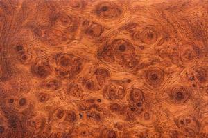 fondo y textura de madera de ormosia macro foto