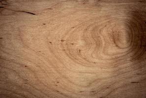 background of Birch wood surface photo