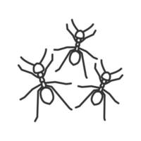 Ants linear icon. Thin line illustration. Contour symbol. Vector isolated outline drawing