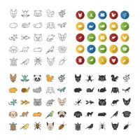 conjunto de iconos de mascotas. animales exóticos. roedores, pájaros, reptiles, insectos, perros, gatos. estilos lineales, de diseño plano, de color y de glifo. ilustraciones de vectores aislados