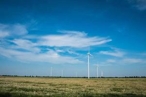 molinos de viento para la producción de energía eléctrica en los campos de trigo contra el cielo azul foto
