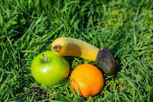 colorful fresh fruits on green grass photo