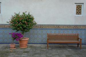 Oriental style park with plants and part of turkish architecture photo