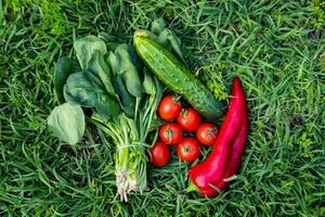 Close up of many fresh vegetables on green grass photo