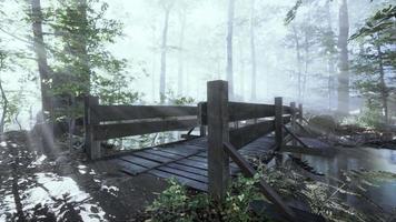 Hängebrücke aus Holz, die den Fluss zu einem nebligen mysteriösen Wald überquert video